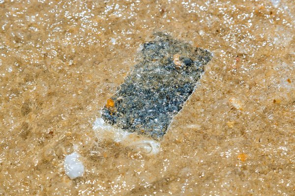 Iphone tombé dans l'eau : 5 conseils essentiels